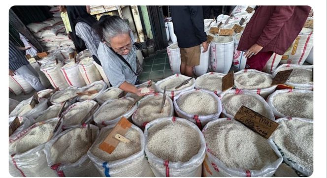 
					Jelang Ramadan, Stok Beras Ditingkat Pedagang di Madina Aman dan Tercukupi