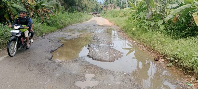
					Warga Keluhkan Jalan Adianjior Rusak Bertahun Tahun