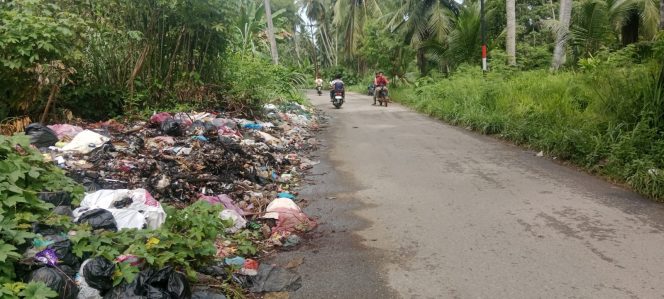 
					Tumpukan Sampah Membusuk di Ruas Jalan Adian Jior