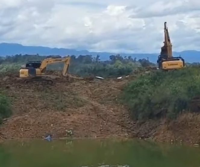 
					Aktivitas Tambang Emas Ilegal Kembali Beroperasi di Linggabayu