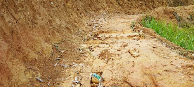 
					Kades Jambur Baru Minta Warga Sumbangkan 2 Batu Buat Bangun Jalan