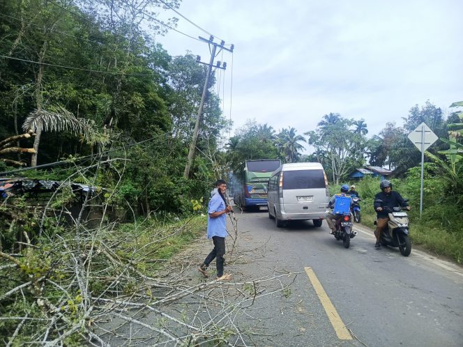 
					Tiang Listrik Tumbang, Akses Jalan Medan Padang Terganggu