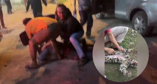 
					Jerat dan Kuliti Harimau Dahan, Dua Warga Madina Ditangkap Polisi