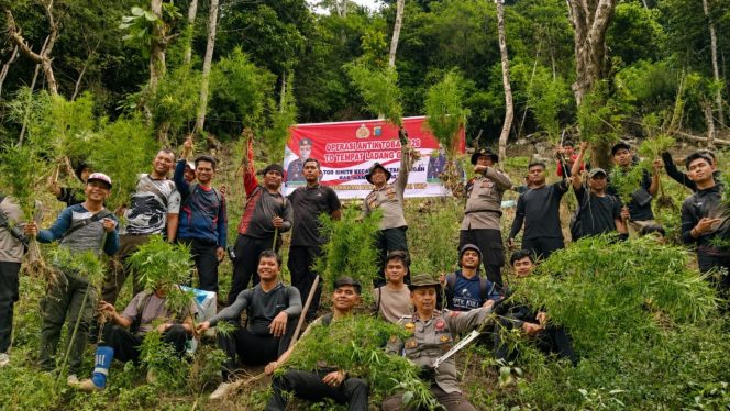 
					Polres Temukan Ladang Ganja, Pemuda Muhammadiyah Tagih Pengungkapan Bandar Sabu