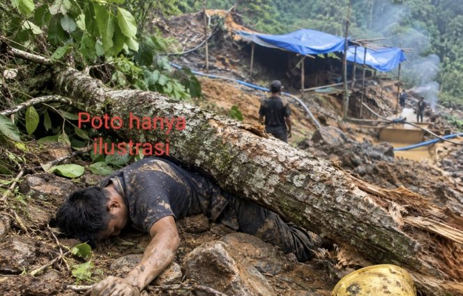 
					Karyawan Tambang Simpang Tolang Tewas Tertimpa Pohon